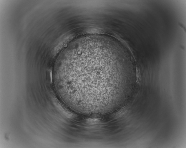 X0000103410061200809261653