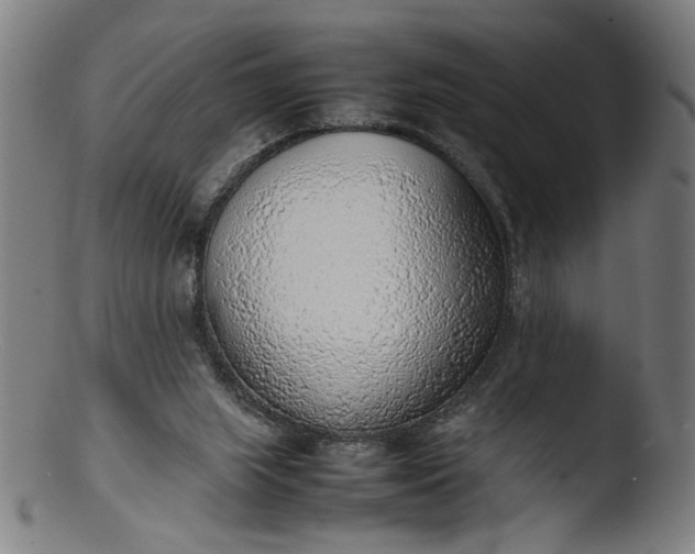 X0000103410063200809261653