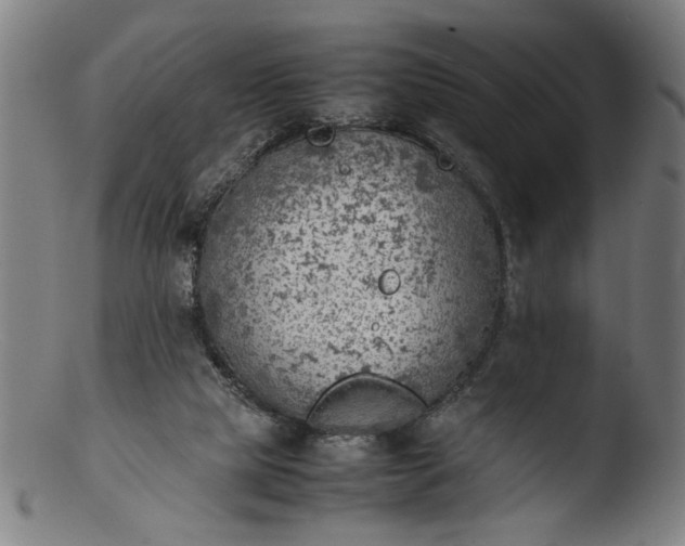 X0000103410065200809261653