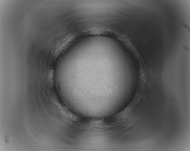 X0000103410066200809261653