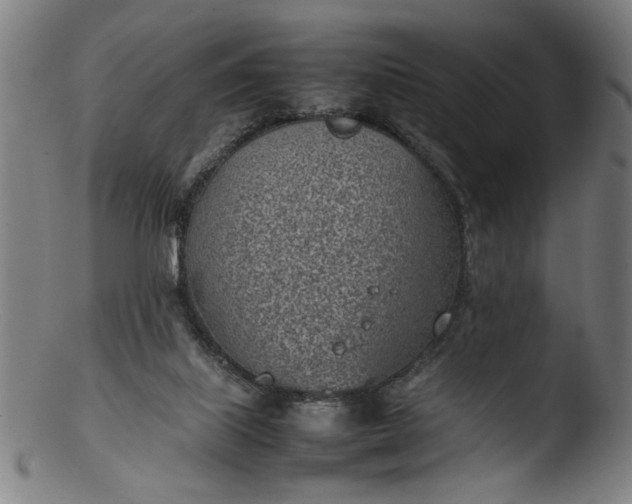 X0000103410067200809261653