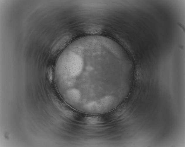 X0000103410069200809261653