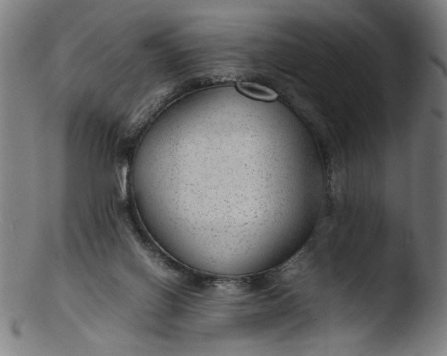 X0000103410070200809261653