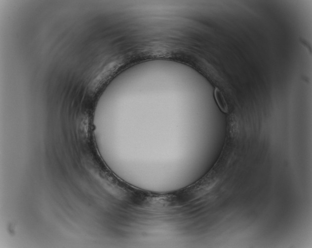 X0000103410072200809261653