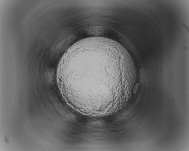 X0000103410073200809261653