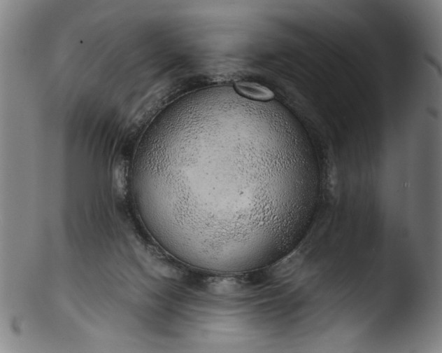 X0000103410074200809261653