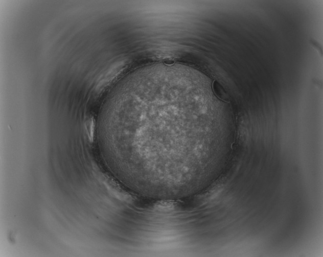 X0000103410076200809261653