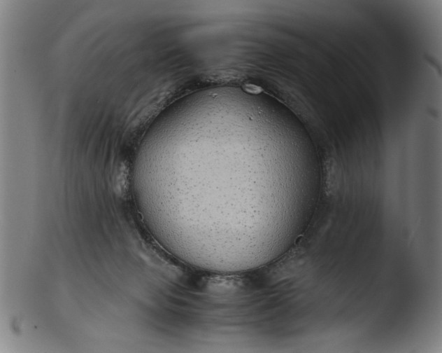 X0000103410077200809261653