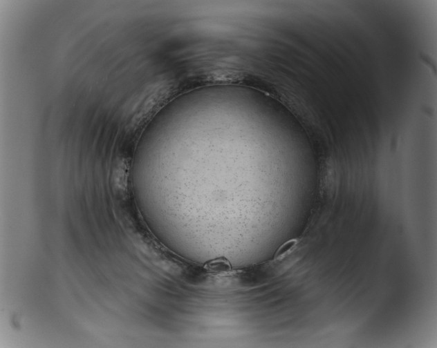 X0000103410078200809261653