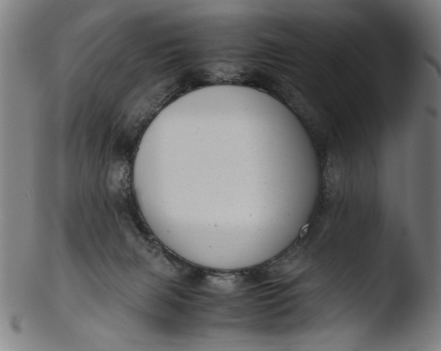 X0000103410079200809261653