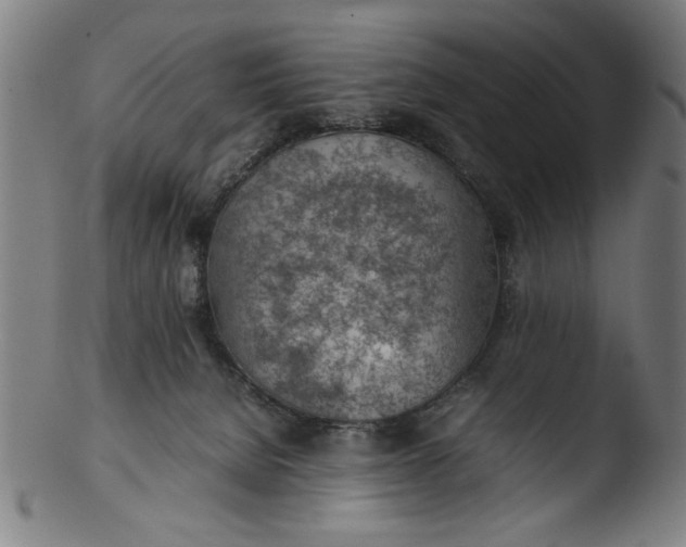 X0000103410080200809261653