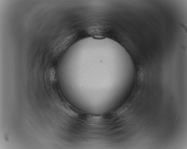 X0000103410081200809261653