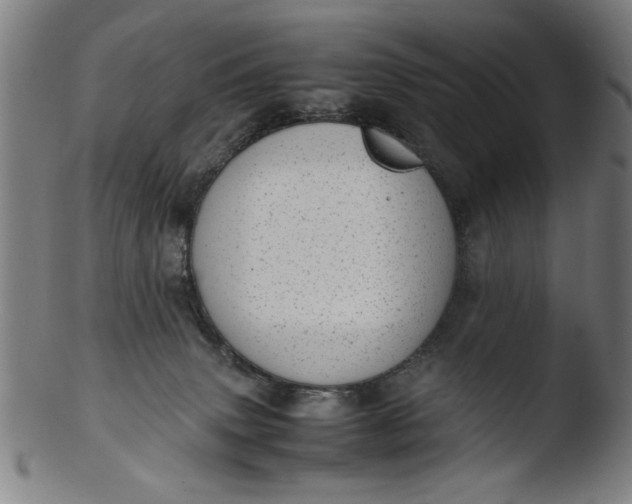 X0000103410083200809261653