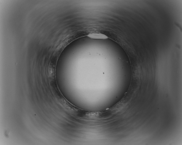 X0000103410084200809261653