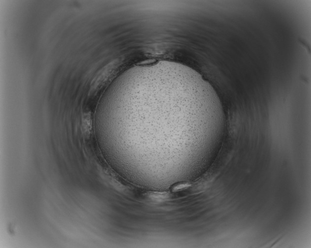 X0000103410085200809261653