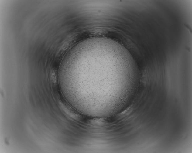 X0000103410086200809261653