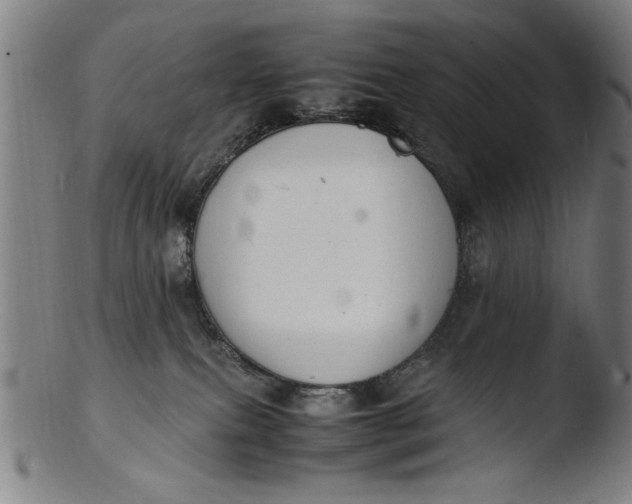 X0000103410087200809261653