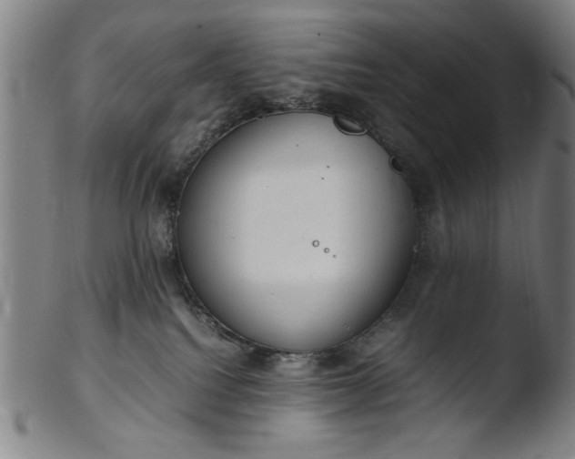 X0000103410088200809261653