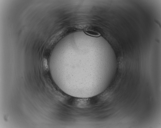 X0000103410089200809261653