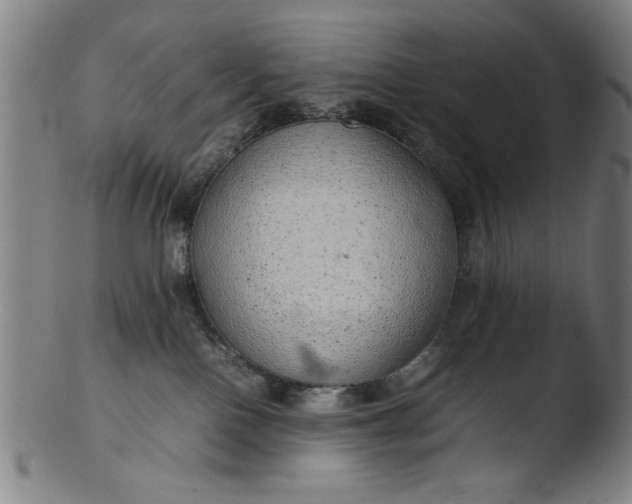 X0000103410090200809261653