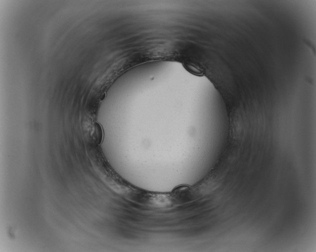 X0000103410091200809261653