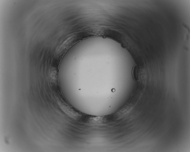 X0000103410092200809261653