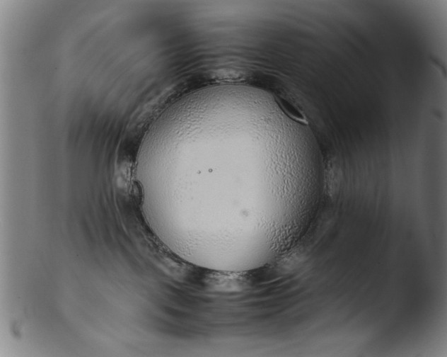 X0000103410093200809261653