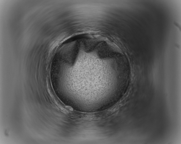 X0000103410097200809261653