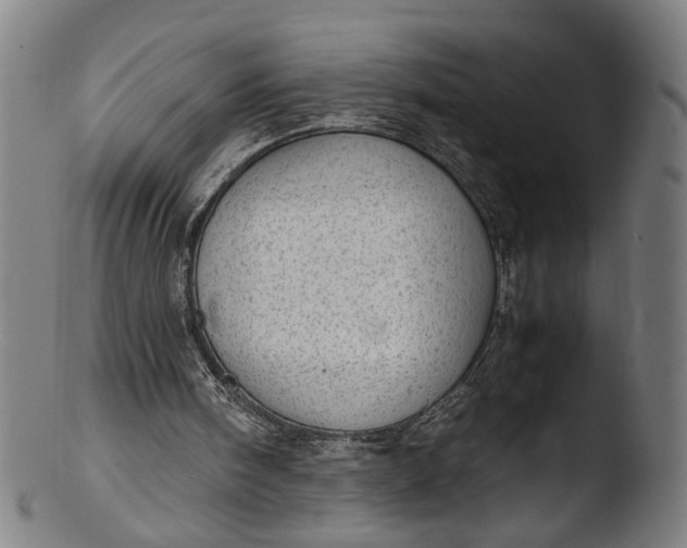 X0000103410098200809261653