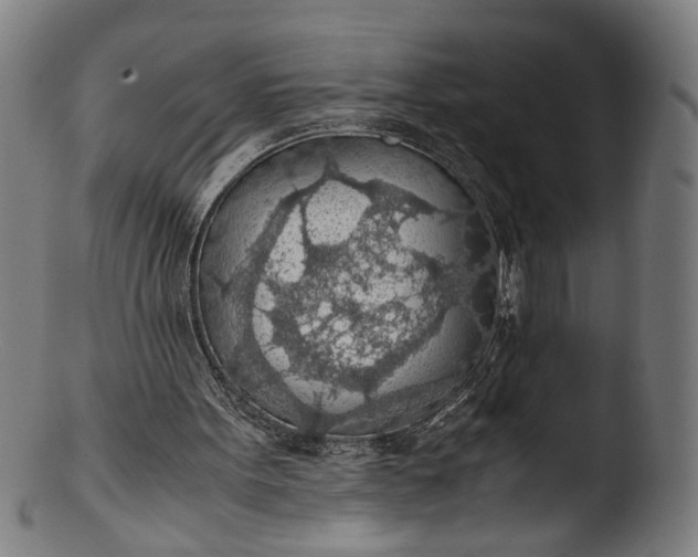 X0000103410099200809261653