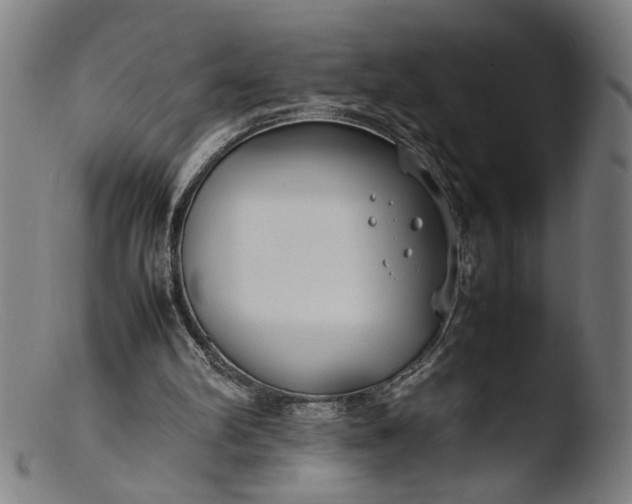 X0000103410102200809261653