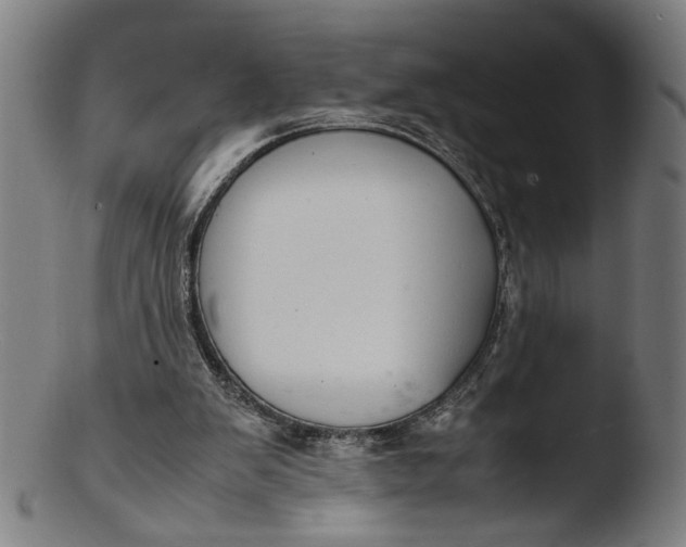 X0000103410103200809261653