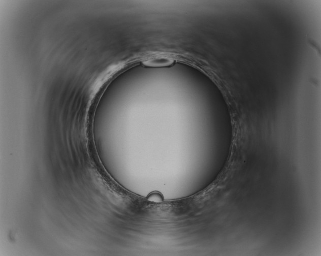 X0000103410104200809261653