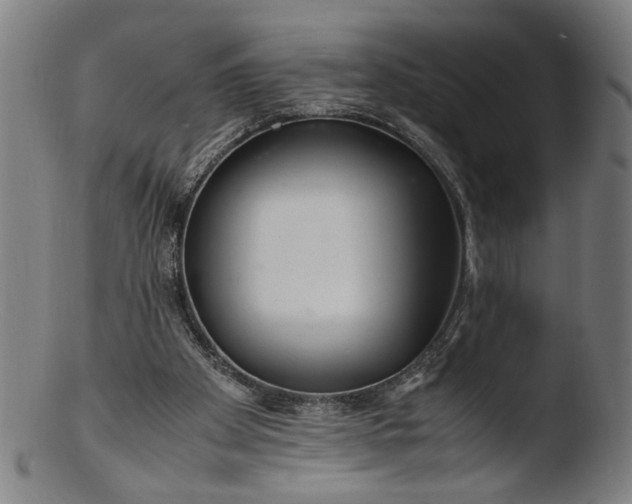 X0000103410105200809261653