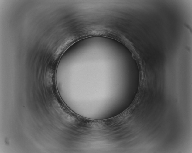 X0000103410106200809261653