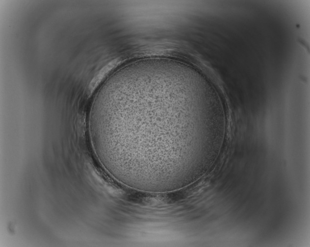 X0000103410107200809261653