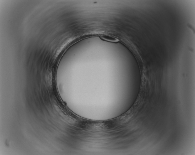 X0000103410108200809261653