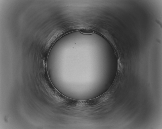 X0000103410109200809261653