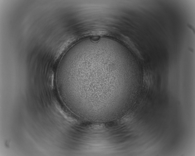 X0000103410110200809261653