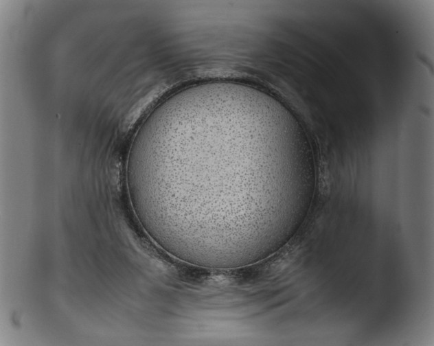 X0000103410111200809261653