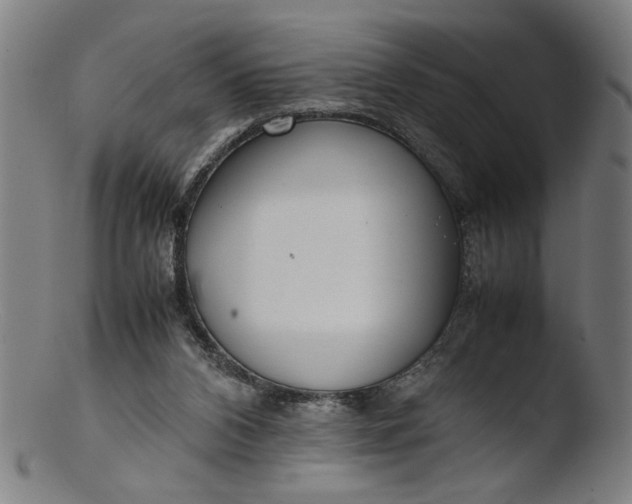 X0000103410112200809261653