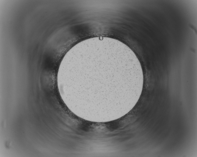 X0000103410113200809261653