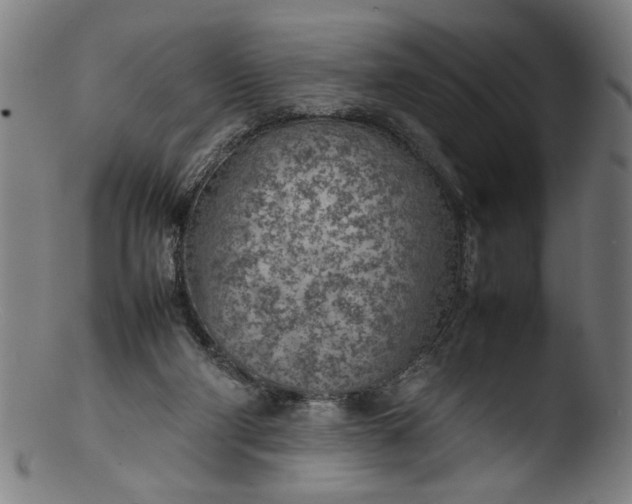 X0000103410114200809261653