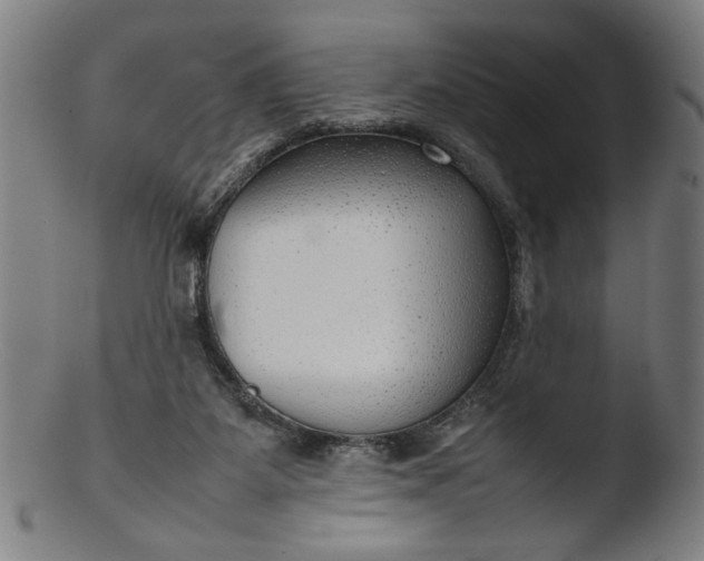 X0000103410115200809261653