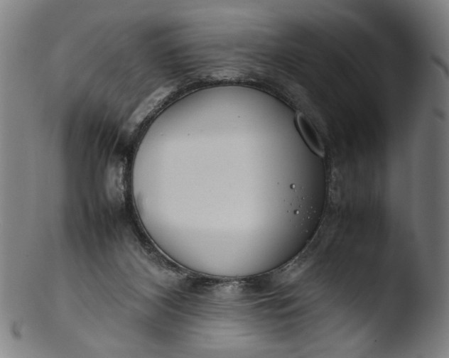 X0000103410116200809261653