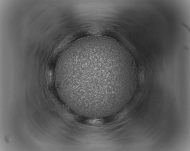 X0000103410117200809261653