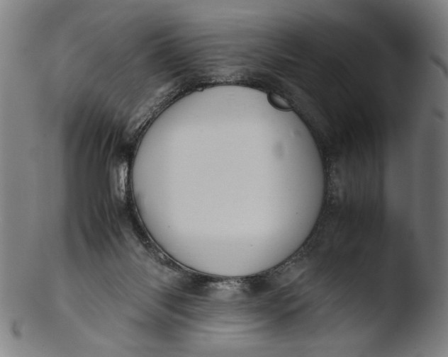 X0000103410118200809261652