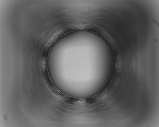 X0000103410119200809261652