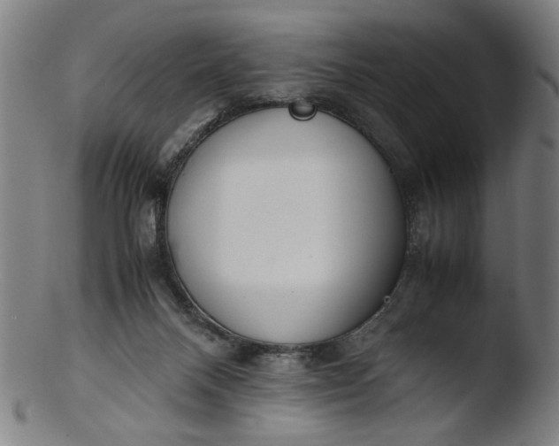 X0000103410120200809261652