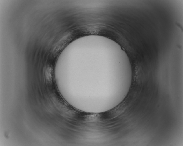 X0000103410122200809261652